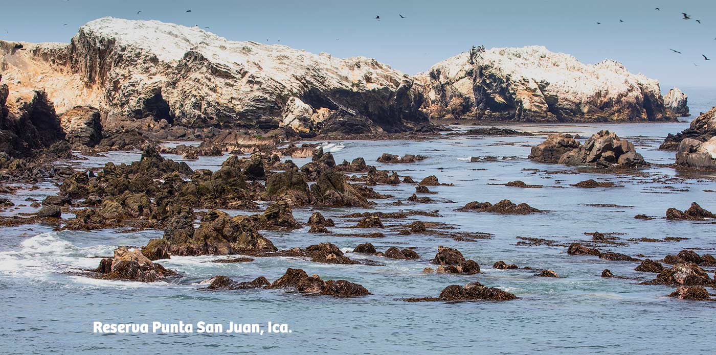 https://www.ytuqueplanes.com/imagenes/Punta San Juan: descubre la ruta hacia la reserva natural escondida en Marcona