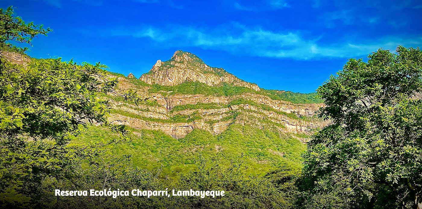 https://www.ytuqueplanes.com/imagenes/Reserva Ecológica Chaparrí: un refugio para quienes disfrutan del senderismo