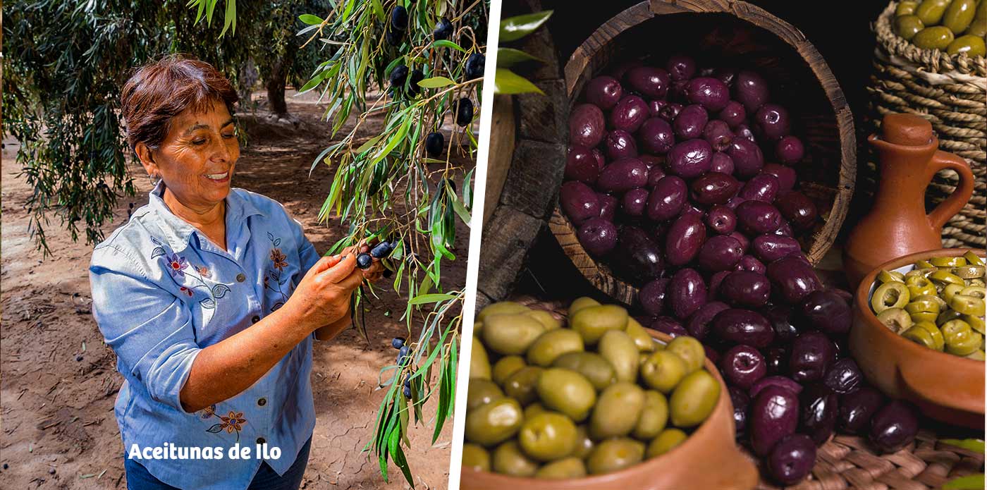 https://www.ytuqueplanes.com/imagenes/¿Sabías que en Ilo están las aceitunas más grandes del Perú?