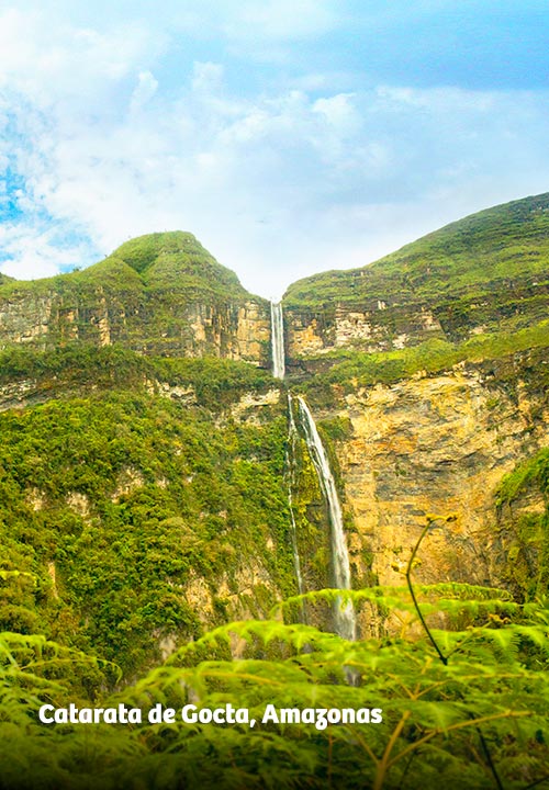 https://www.ytuqueplanes.com/imagenes/Sumérgete en la esencia pura de los andes amazónicos a través de estos espacios naturales