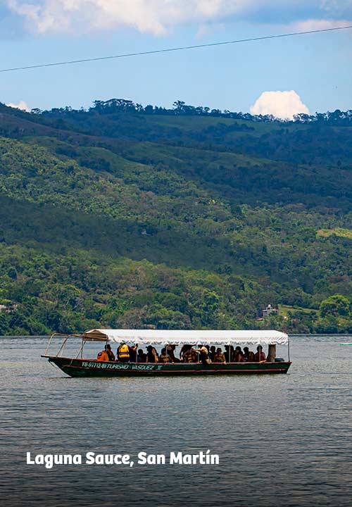 https://www.ytuqueplanes.com/imagenes/Laguna Sauce: un paraíso para la pesca deportiva, el kayak y otros deportes de aventura 