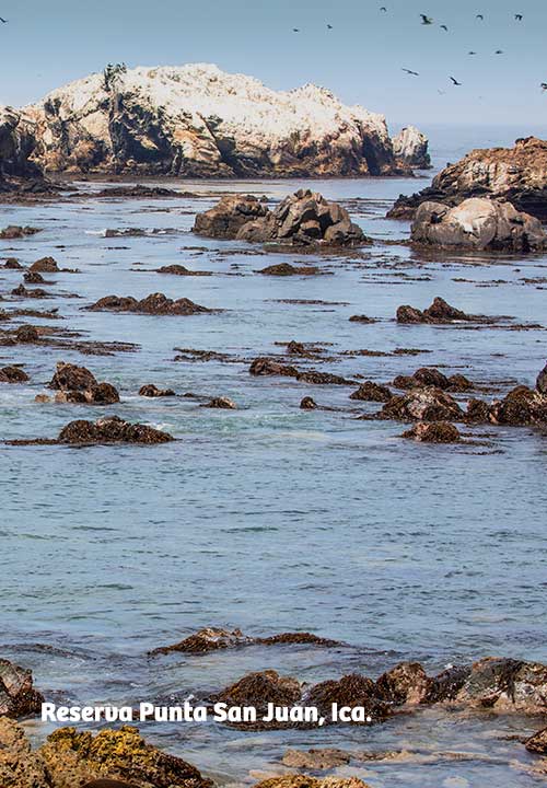 https://www.ytuqueplanes.com/imagenes/Punta San Juan: descubre la ruta hacia la reserva natural escondida en Marcona