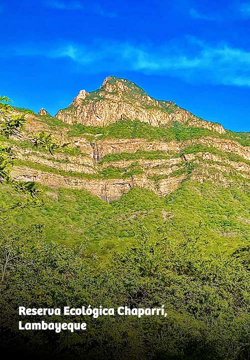 https://www.ytuqueplanes.com/imagenes/Reserva Ecológica Chaparrí: un refugio para quienes disfrutan del senderismo