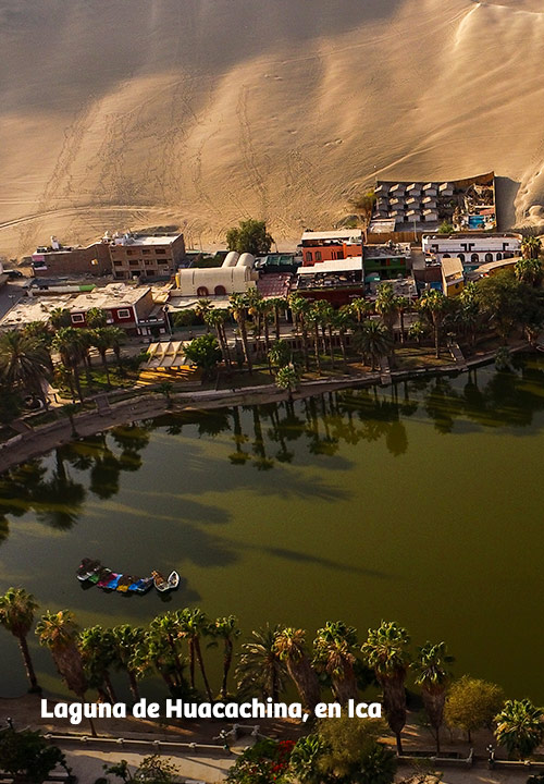 https://www.ytuqueplanes.com/imagenes/Laguna de Huacachina: siente la adrenalina y deslízate en la aventura más emocionante de tu vida