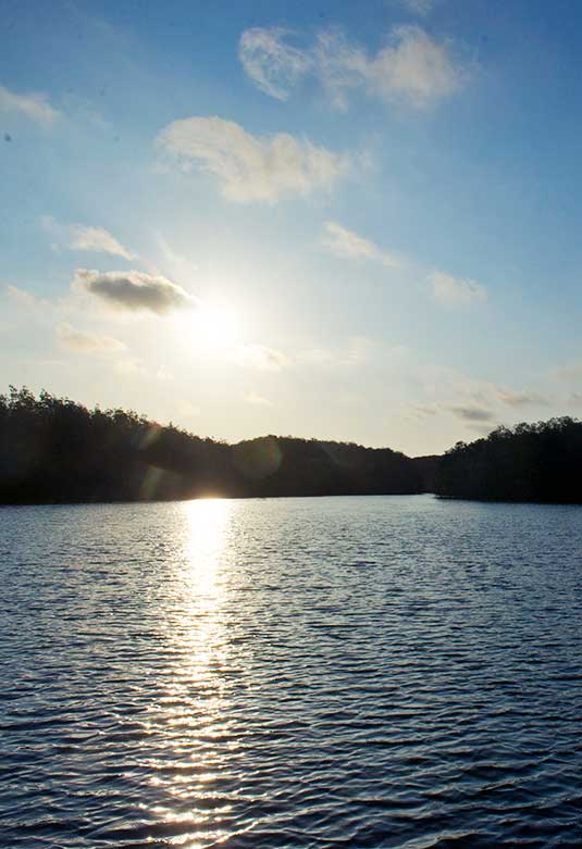 Santuario Nacional Los Manglares de Tumbes