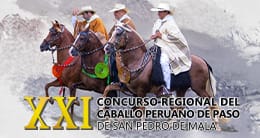 XXI CONCURSO REGIONAL DEL CABALLO PERUANO DE PASO DE SAN PEDRO DE MALA