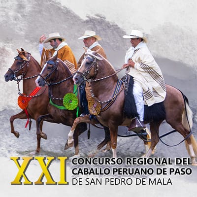 XXI CONCURSO REGIONAL DEL CABALLO PERUANO DE PASO DE SAN PEDRO DE MALA