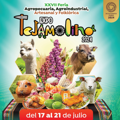 XXVII edición de la Feria Agroindustrial, Artesanal y Folklórica "Expo Tejamolino 2024"