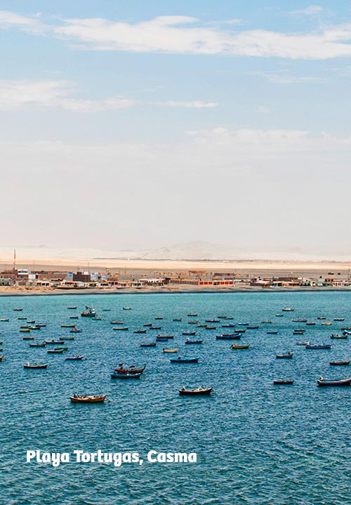 https://www.ytuqueplanes.com/imagenes/¿Conoces Casma? Un recorrido por las playas, sitios arqueológicos y más, de la ciudad del eterno sol