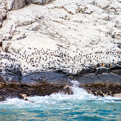 Isla Blanca: descubre un paraíso oculto en Chimbote que te robará más de una sonrisa