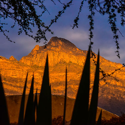 Reserva Ecológica Chaparrí: un paraíso para los amantes del senderismo en Lambayeque