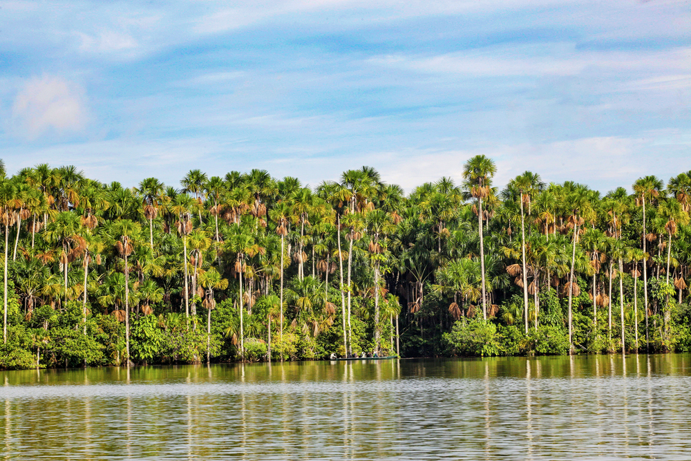 Explorando Tambopata - Puerto Maldonado