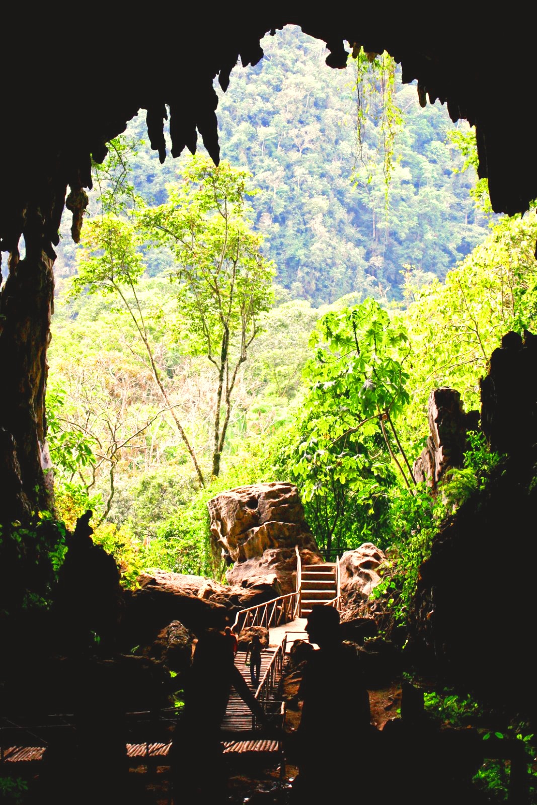 Parque Nacional Tingo María