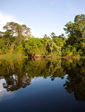 Amazonas Maravilla Encantada Aventura