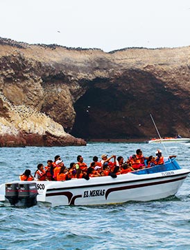 Descubre el Sur Peruano: Paracas, Ica y Nasca