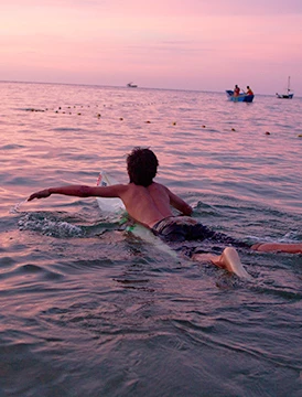 El Norte y sus maravillosas playas con Manglares