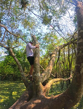 Escapadas verdes en Ucayali