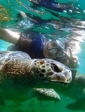 Explorando lo mejor de Sullana, Máncora y Tumbes