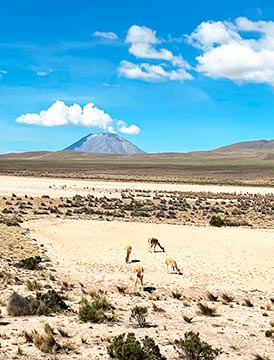 Arequipa de ensueño