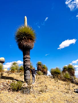 Puncupata - Vilcashuamán: Ruta Mística del Sol