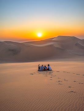 Tour Viñedo y aventura en el desierto