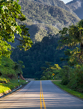 ¡Despedimos el Año con Magia y Naturaleza en Tarapoto!