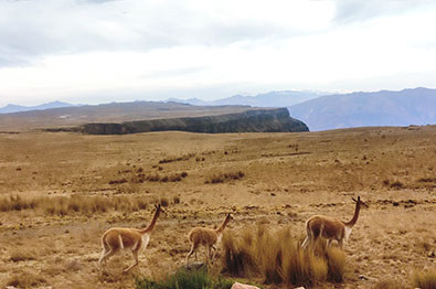 Puncupata - Vilcashuamán: Ruta Mística del Sol