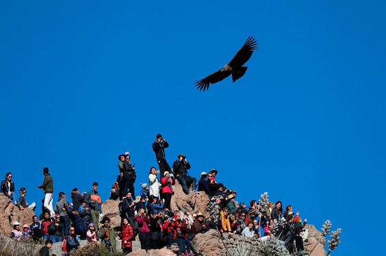 colca-21-arequipa-2