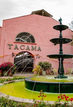 Paracas Ica y Tacama desde Lima