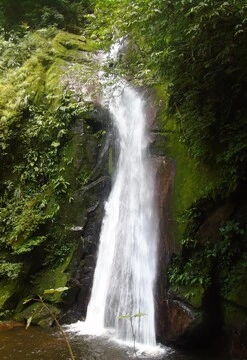 Trekking en la selva de Tarapoto