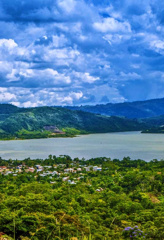 Canopy en el Lago Sauce 