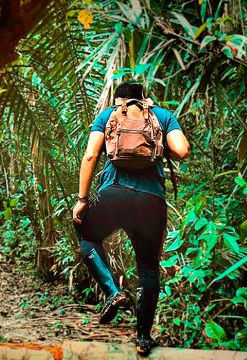 Bienvenido a la selva