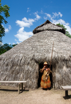 Amazonas Típico