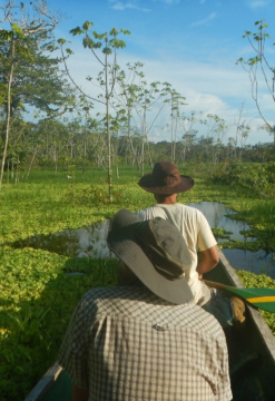 Descubre El Amazonas, maravilla natural del mundo