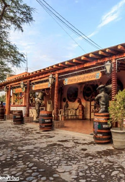 Aventura con Pisco en Ica