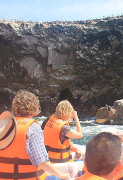 Ica y Paracas, aventura y naturaleza cerca a Lima