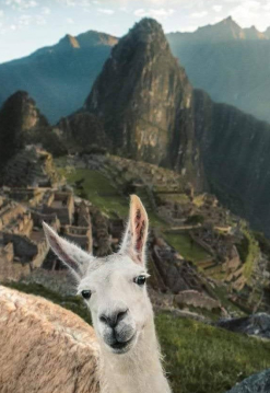 Machu Picchu en tren Expedition