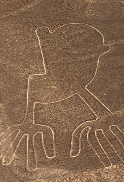 Paracas, Ica y Nasca total
