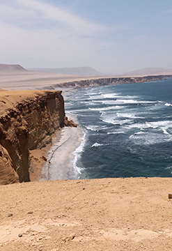 Paracas Natural
