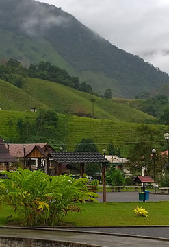 Pozuzo, posas naturales