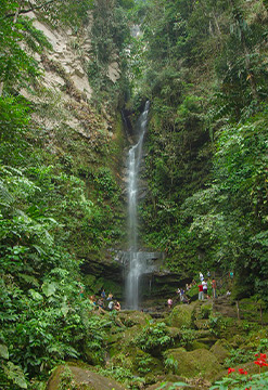 Tarapoto Amazonía