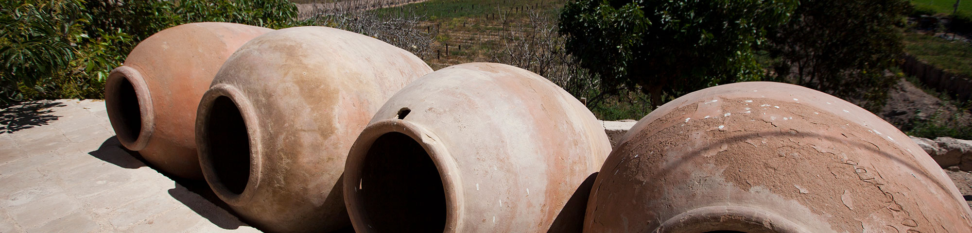 Bodega rayito de sol