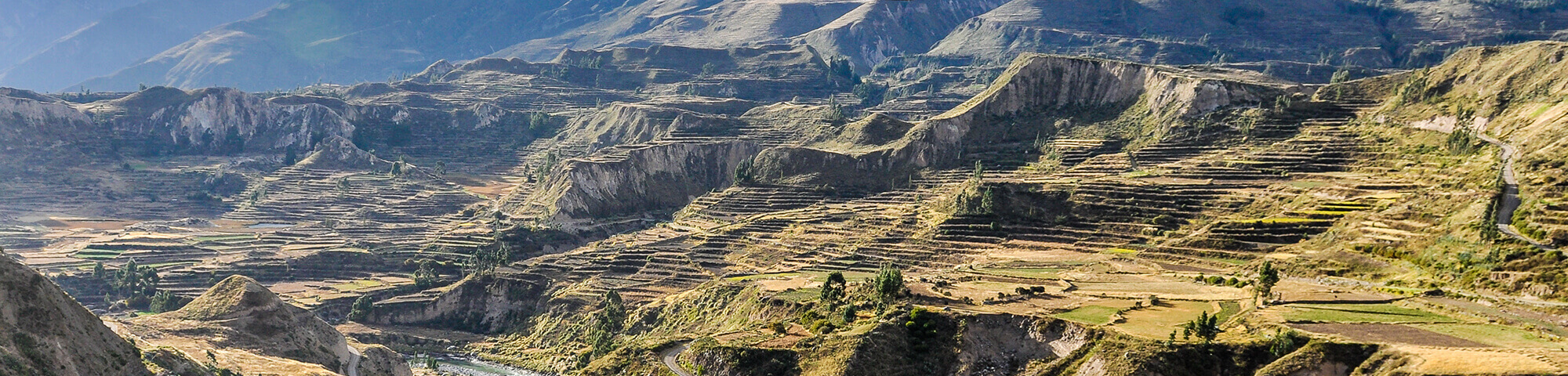 Cañón del Colca