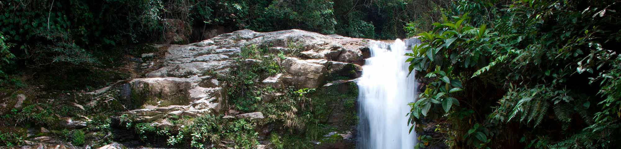 Cascada Imperitaja