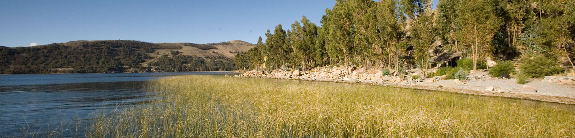 Isla Suasi