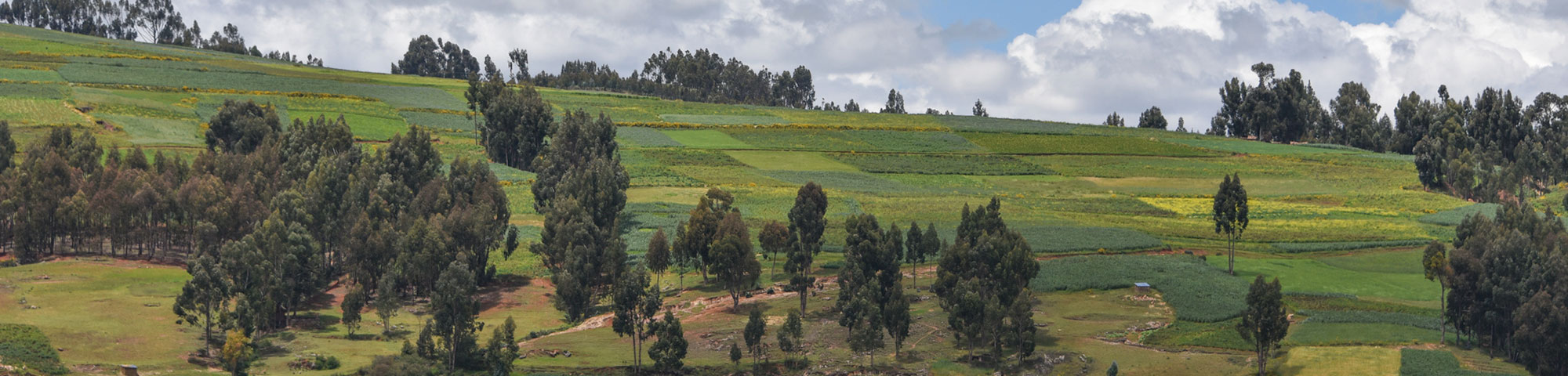Laguna de Huaypo