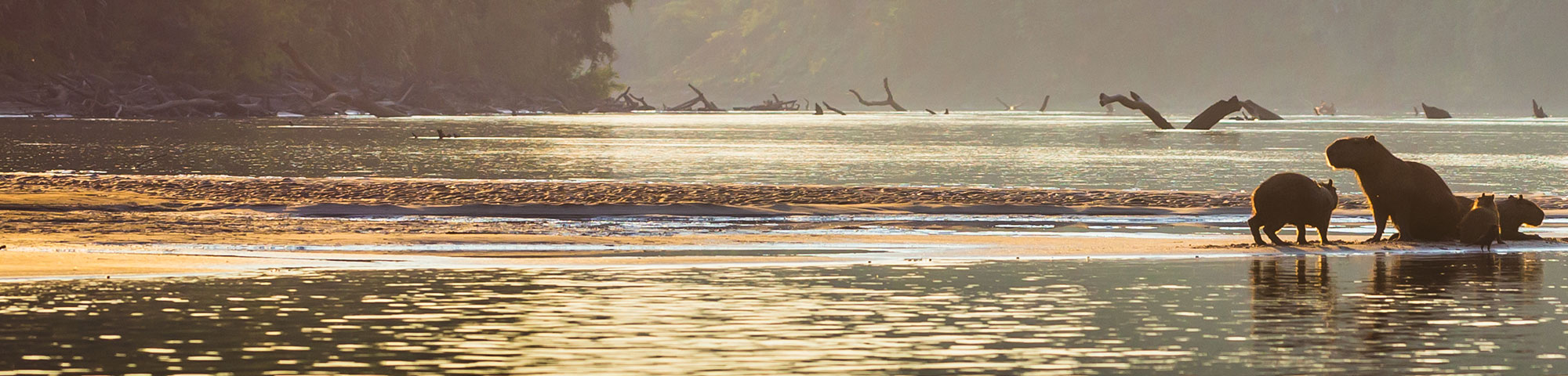 Parque Nacional del Manu