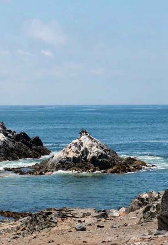 Reserva Nacional de Islas, Islotes y Puntas Guaneras - Punta de Coles