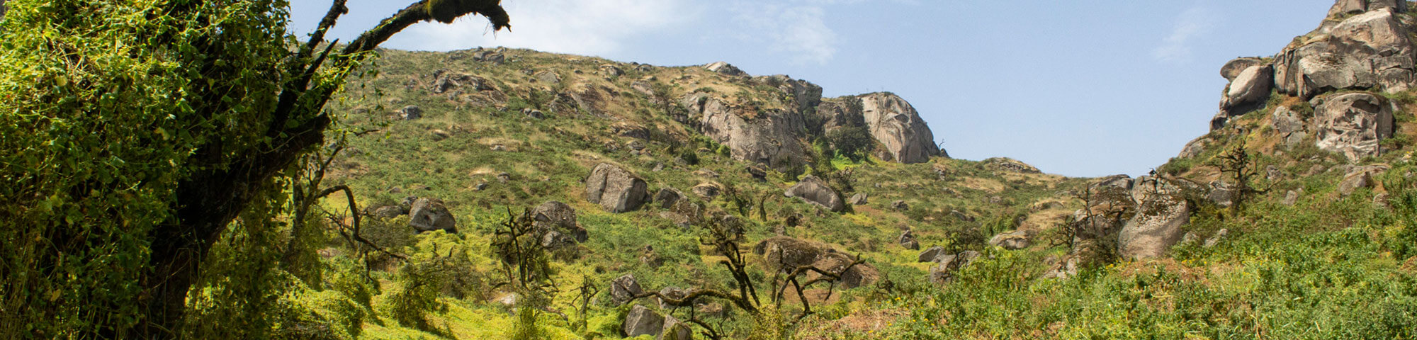 Reserva Nacional de Lachay (RNL)
