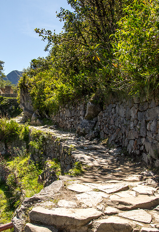Santuario Histórico - Parque Arqueológico Nacional de Machupicchu